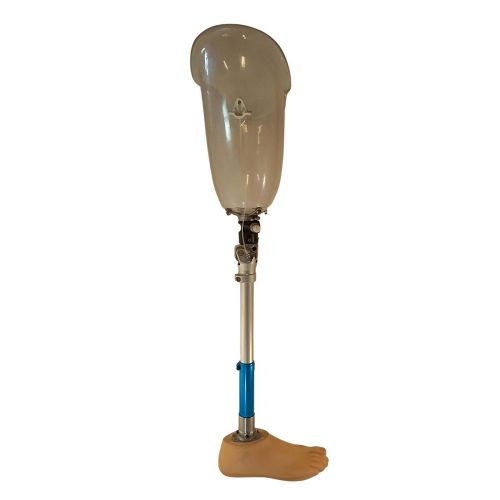 ideiglenes 12